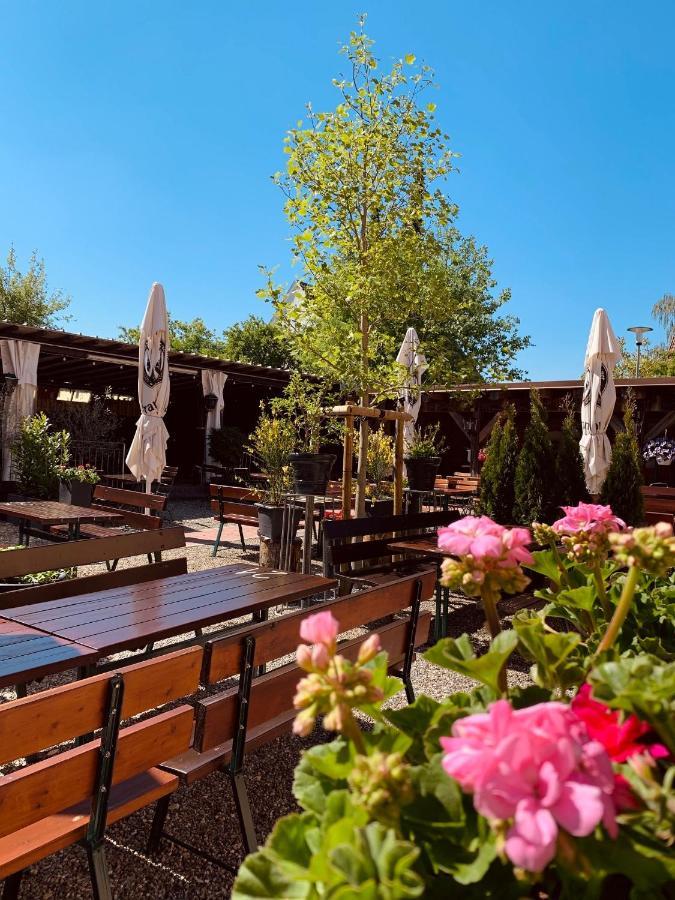 Landgasthof Zur Sonne Dillingen an der Donau Ngoại thất bức ảnh